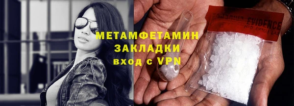 прущие грибы Кодинск
