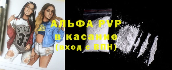 прущие грибы Кодинск