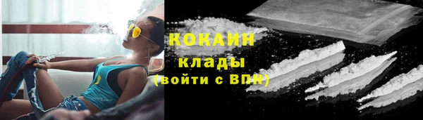 прущие грибы Кодинск