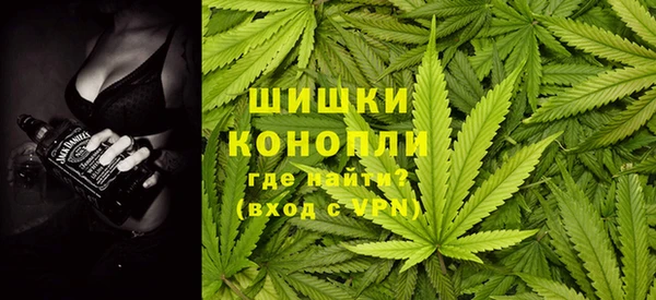 прущие грибы Кодинск