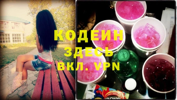 прущие грибы Кодинск
