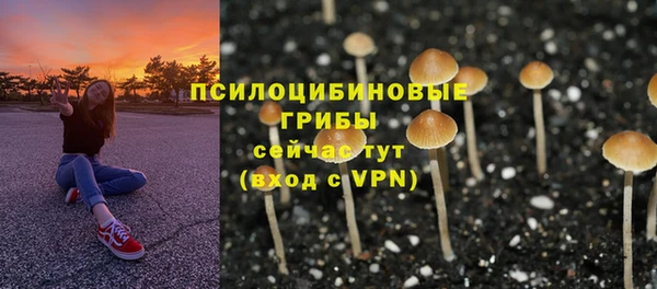 MDMA Козельск
