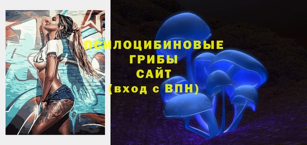 прущие грибы Кодинск