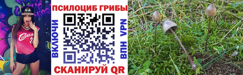Галлюциногенные грибы MAGIC MUSHROOMS  Купить где  Пудож 