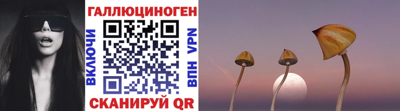 Псилоцибиновые грибы мухоморы Пудож
