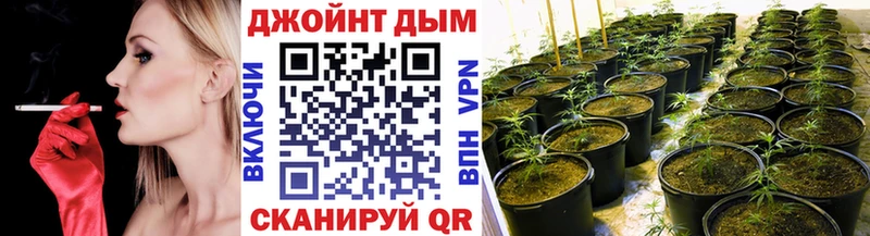 Шишки марихуана ГИДРОПОН Пудож